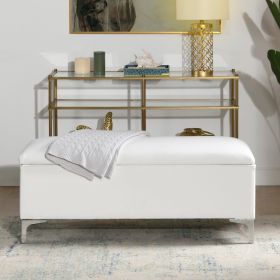 Madelyn 49" Modern Storage Bench, Bright White Dye
